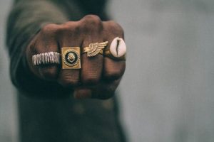 Anéis/Rings Masculinos/Tomboy - Passaros / Imagem: Pinterest / Reprodução 